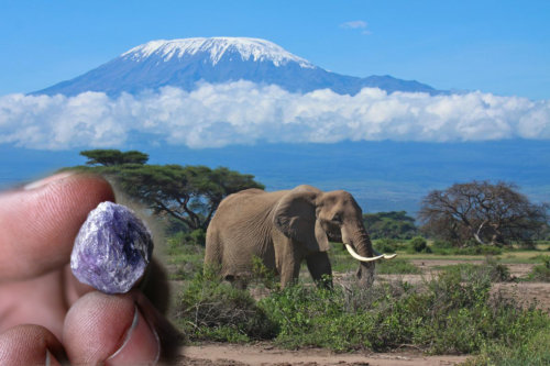 Les tanzanites et le Killimandjaro