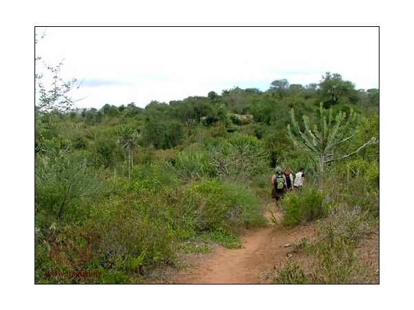 Les mines artisanales de grenats à Makanya