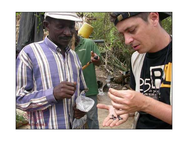 Les mines artisanales de grenats à Makanya