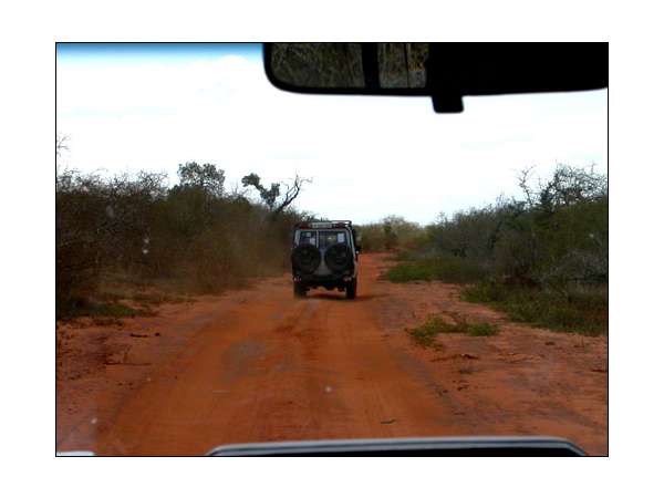 saphirs_umba_(1)_071010064932