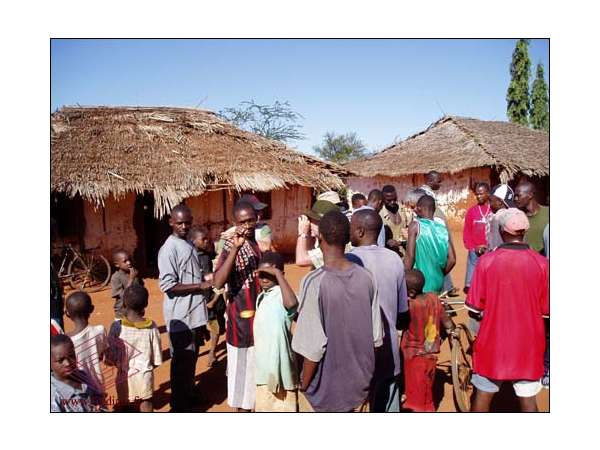 saphirs_umba_(26)_071010064936
