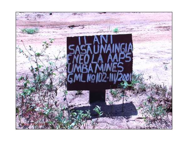 saphirs_umba_(2)_071010064932