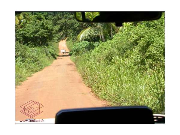 saphirs_umba_(30)_071010064938