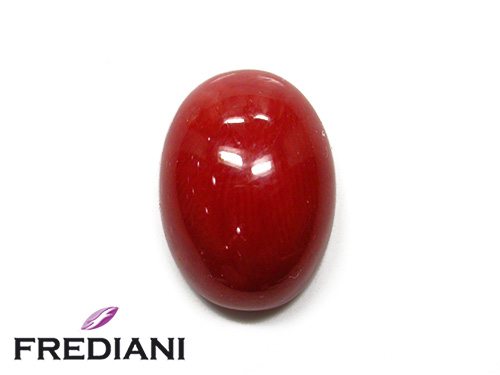 Corail rouge cabochon naturel