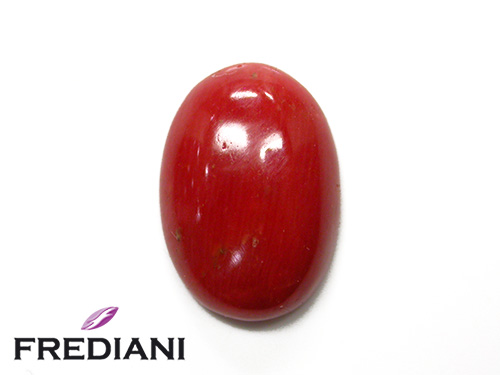 Corail rouge cabochon naturel
