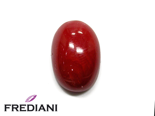 Corail rouge cabochon naturel