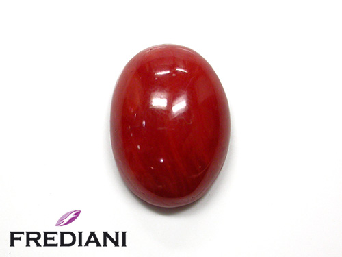 Corail rouge cabochon naturel
