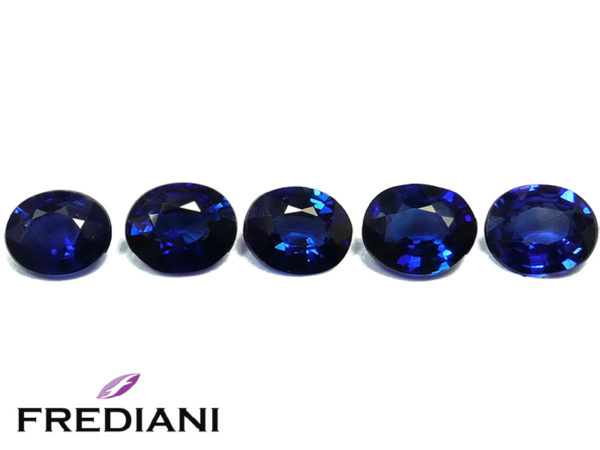 Lot de saphirs bleus ovales