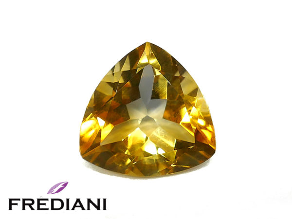 Citrine troïdia