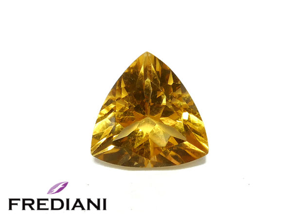 Citrine troïdia
