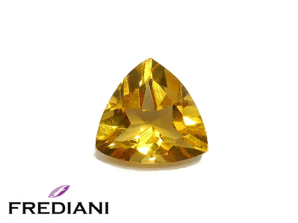 Citrine troïdia