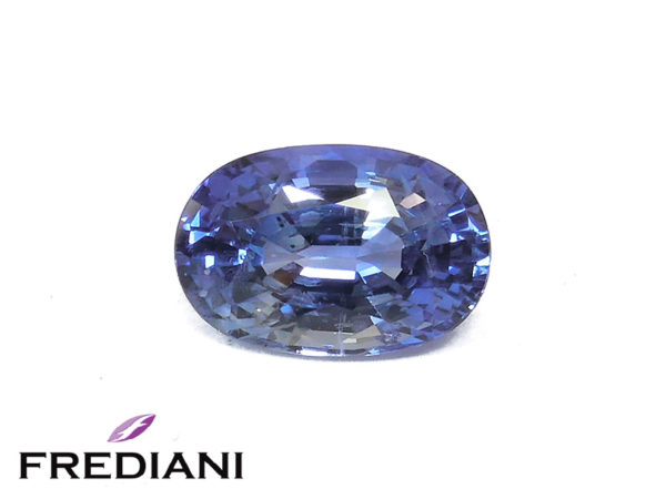 Saphir bleu ovale certifié