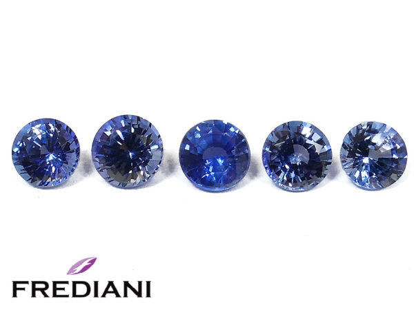 Lot de saphirs bleus ronds