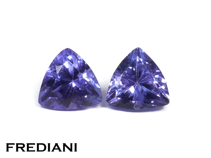 Paire de tanzanites troïdias