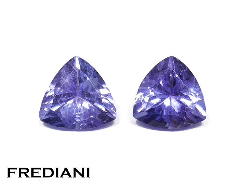 Paire de tanzanites troïdias