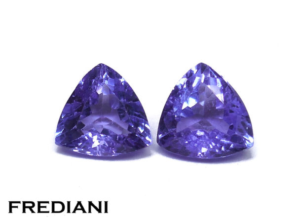 Appairage de tanzanites troïdias
