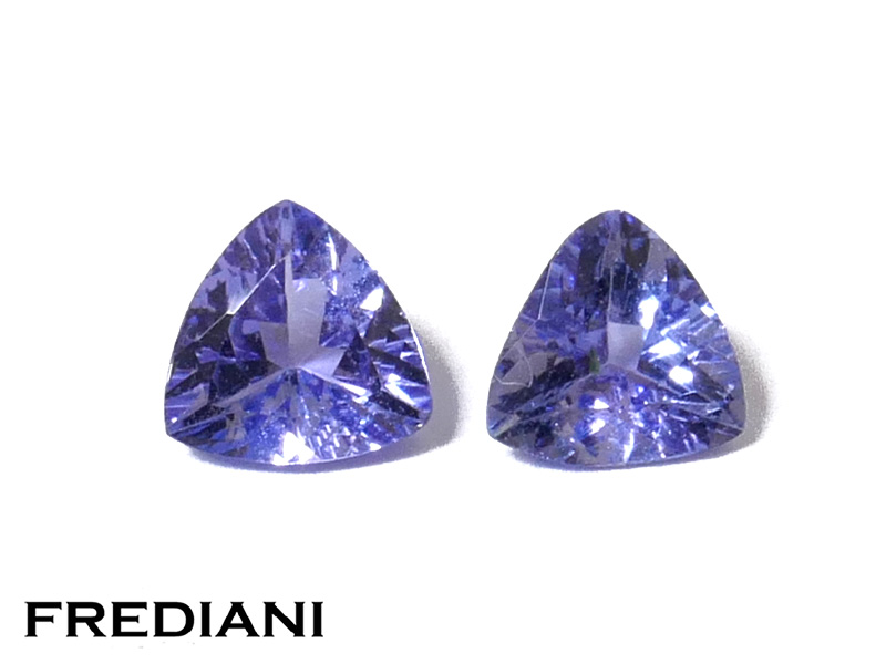 Paire de tanzanites troïdias