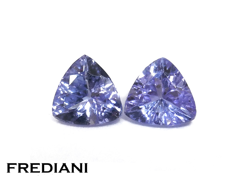 Paire de tanzanites troïdias