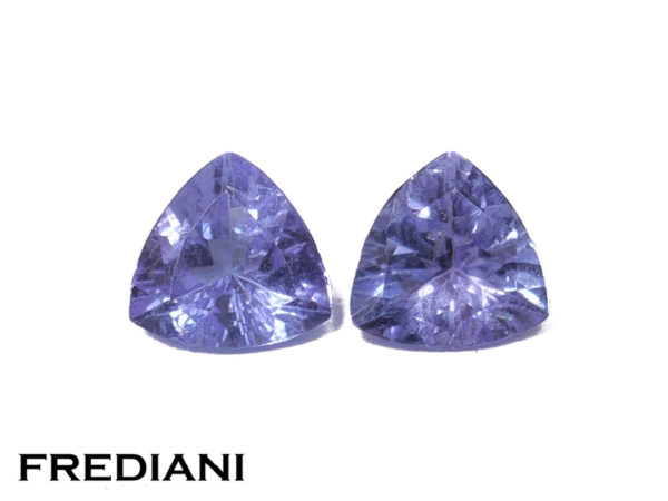 Appairage de tanzanites troïdias