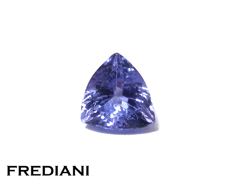 Tanzanite troïdia
