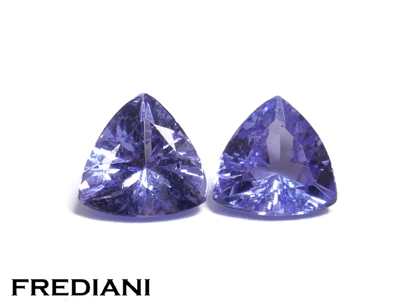 Paire de tanzanites troïdias