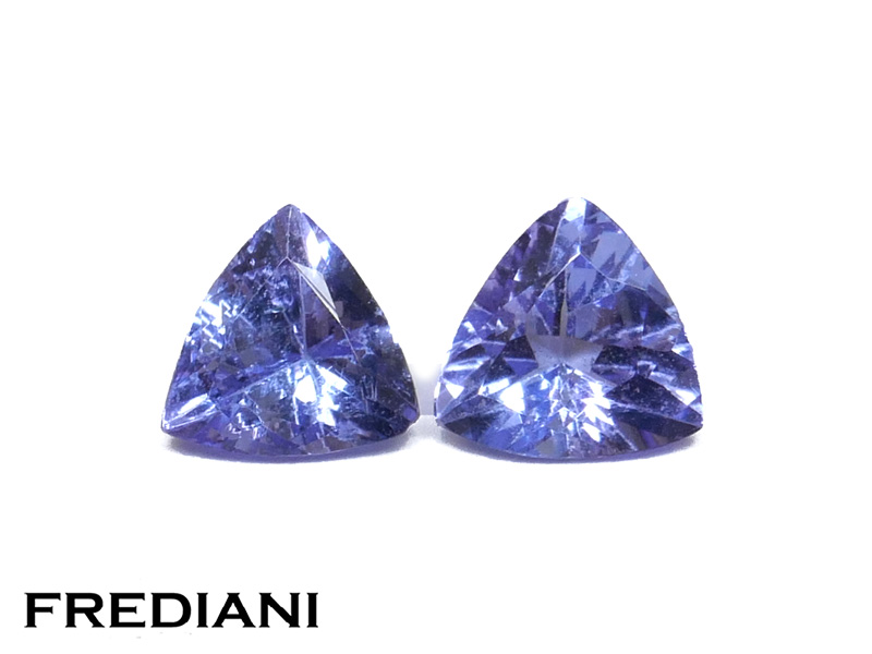 Paire de tanzanites troïdias