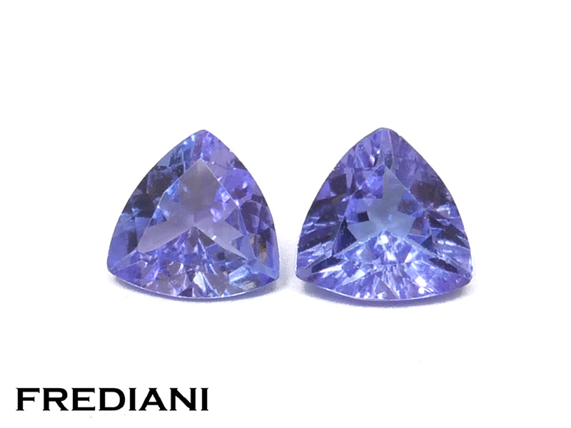 Paire de tanzanites troïdias