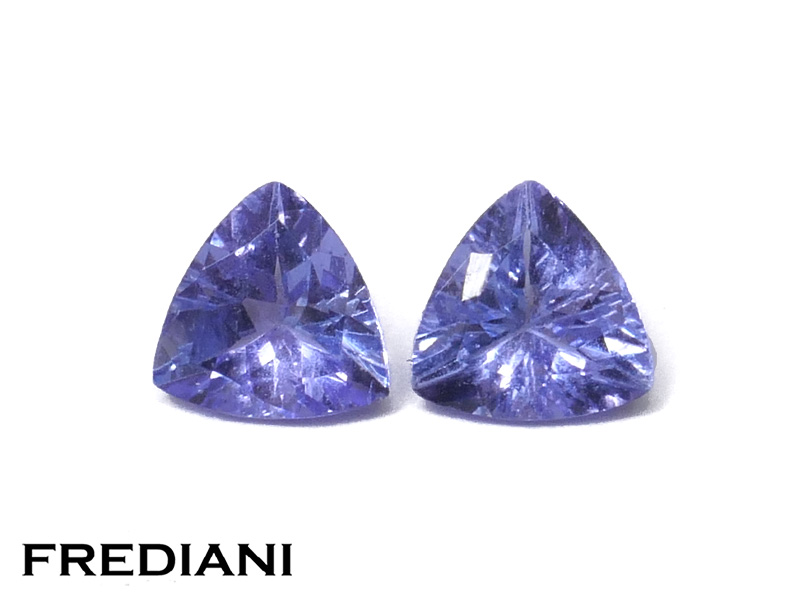 Paire de tanzanites troïdias