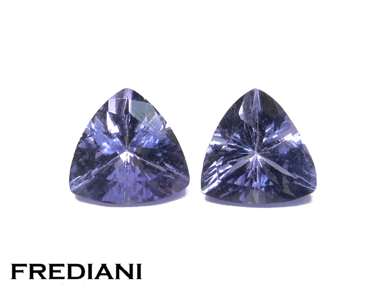 Paire de tanzanites troïdias