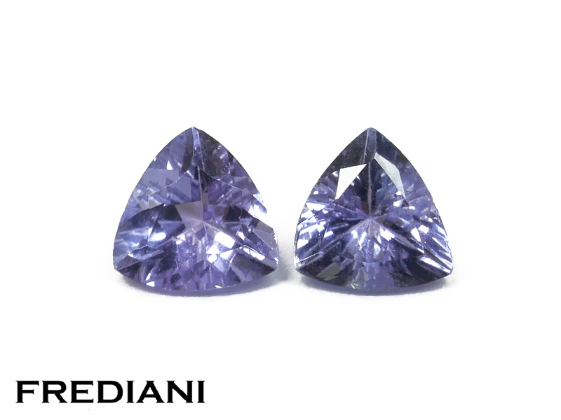 Paire de tanzanites troïdias