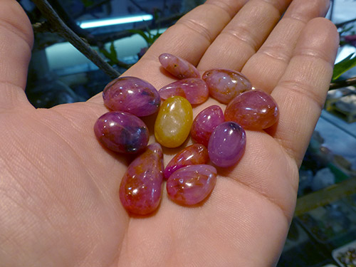 Les saphirs multicolores du Vietnam en exclusivité