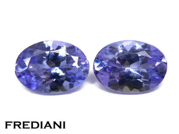 Paire de tanzanites ovales