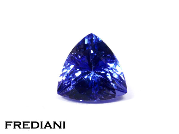 Tanzanite troïdia