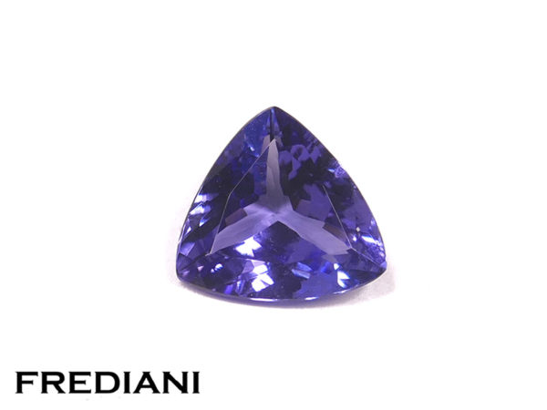 Tanzanite troïdia