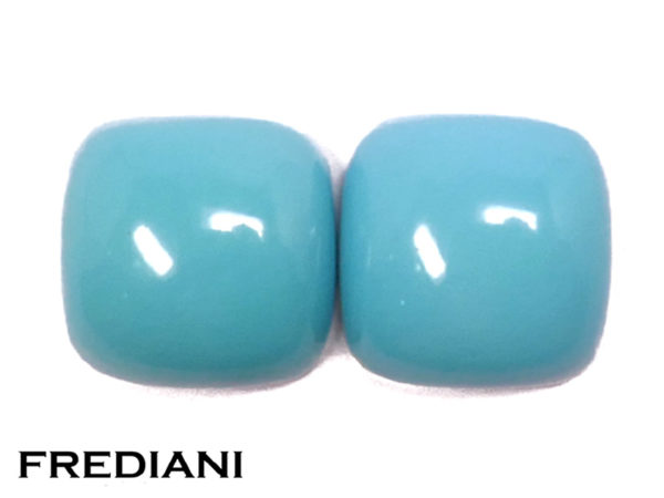 Paire de turquoises coussins naturelles