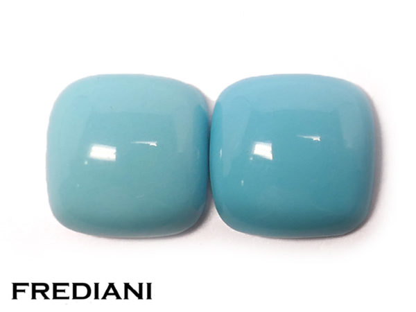 Paire de turquoises coussins naturelles