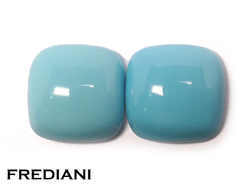 Paire de turquoises coussins naturelles