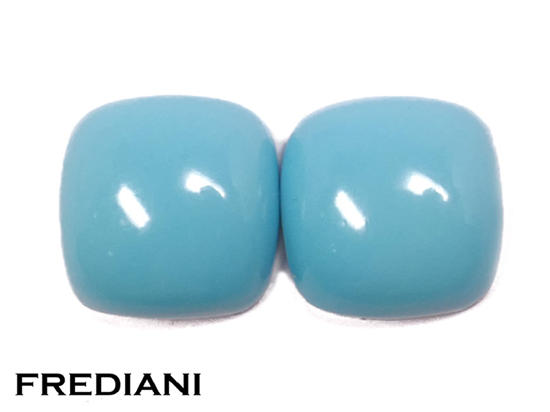 Paire de turquoises coussins naturelles