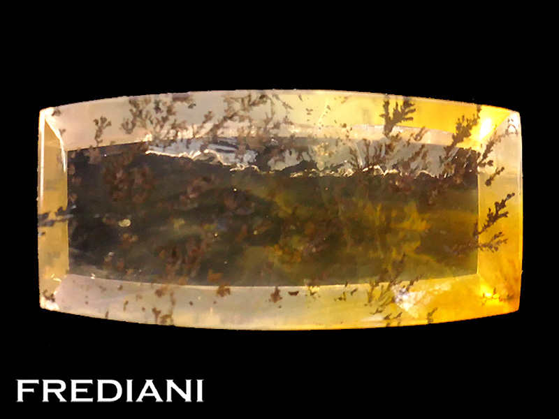 Quartz dendritique rectangulaire naturel