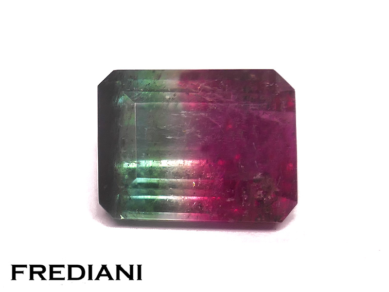 Tourmaline bicolore rectangulaire naturelle