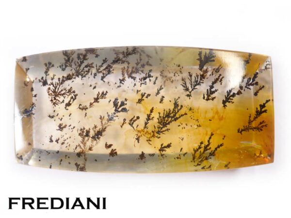 Quartz dendritique rectangulaire naturel 250x125 de 18.35 carats