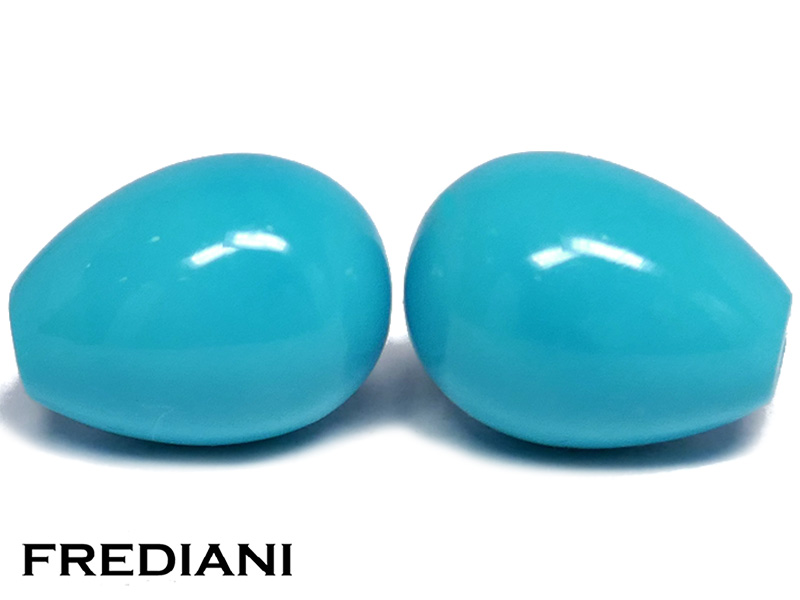 Paire de pampilles en turquoise