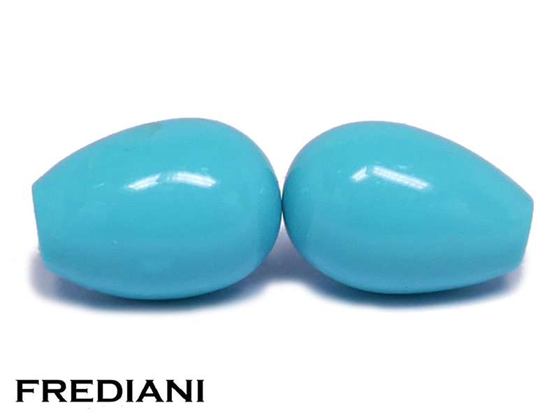 Paire de pampilles en turquoise