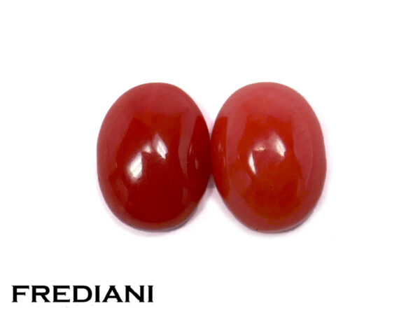 duo de coraux rouges cabochons naturels