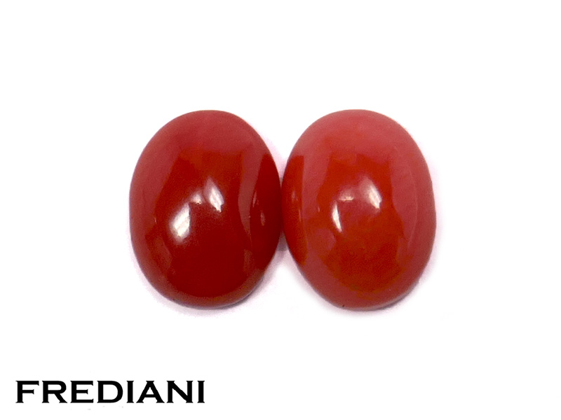 Duo de coraux rouges cabochons naturels