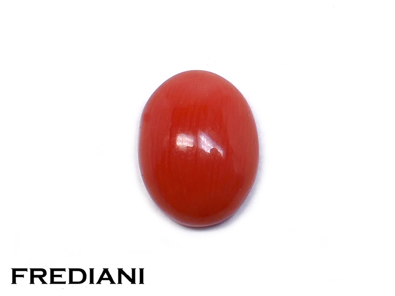 Corail rouge cabochon naturel