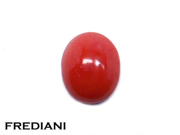 Corail rouge cabochon naturel