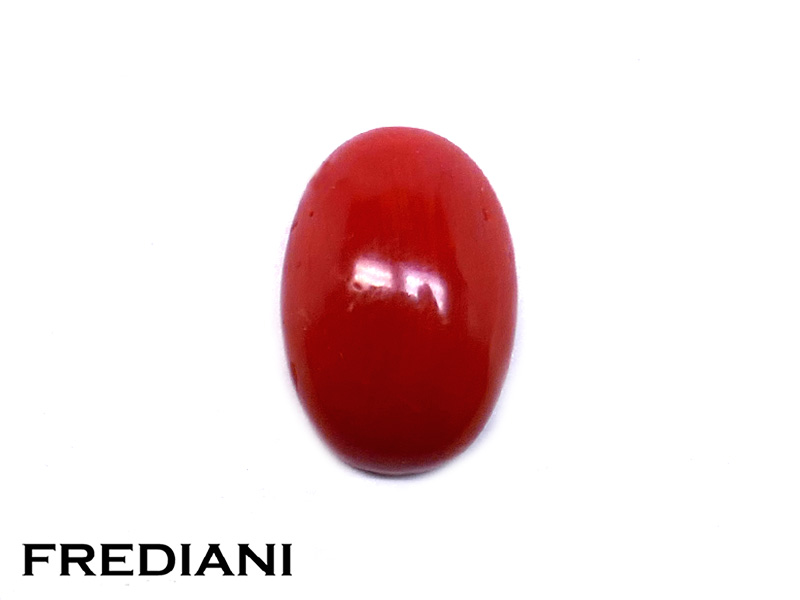 Corail rouge cabochon naturel