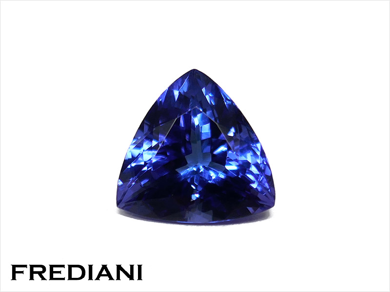 Tanzanite troïdia