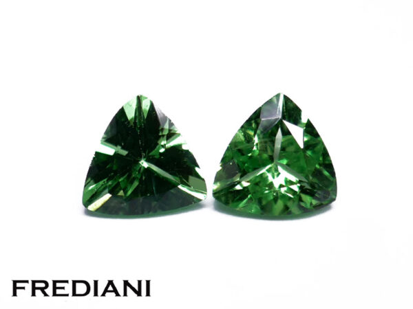 Appairage de grenats tsavorites troïdias 50x50 de 0.93 carat